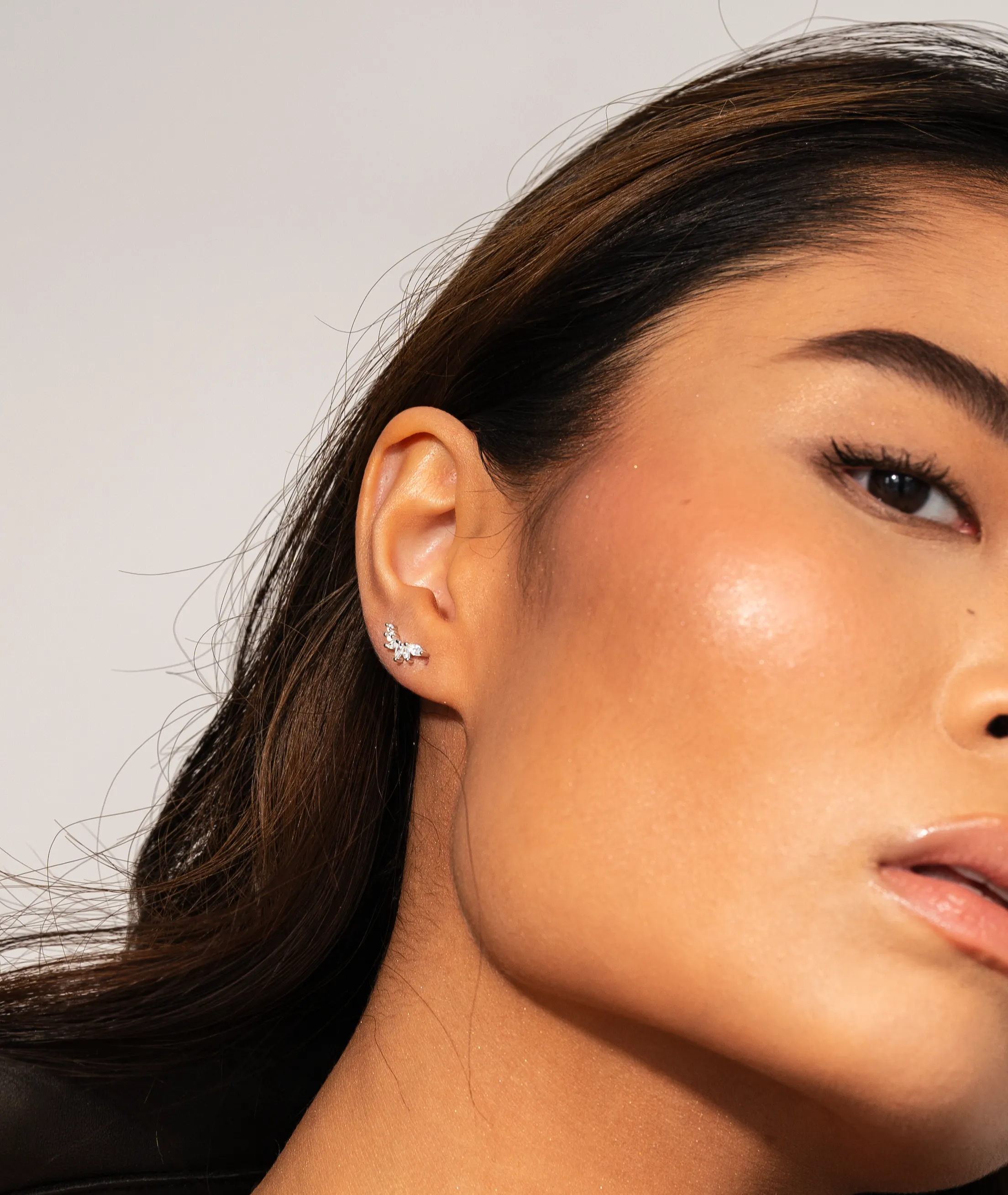Crystal Climber Studs Silver