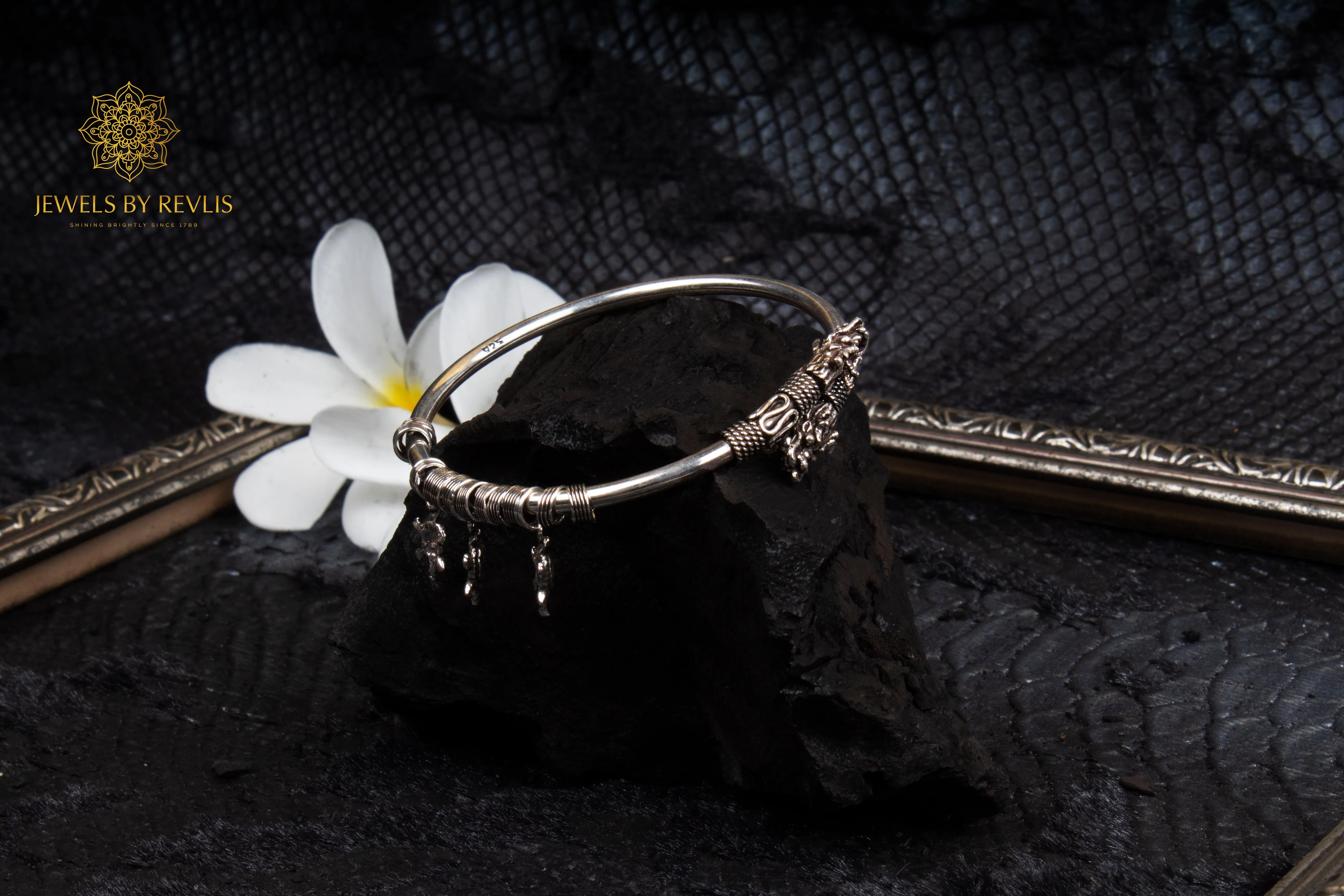 Kalyug Charm Bracelet - Dragon and Tortoise